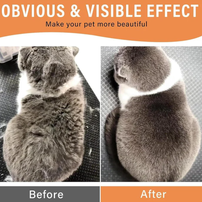 3 in 1 Pet Hair Removal Steam Comb, Perfect for Both Cats & Dogs πΆπ±